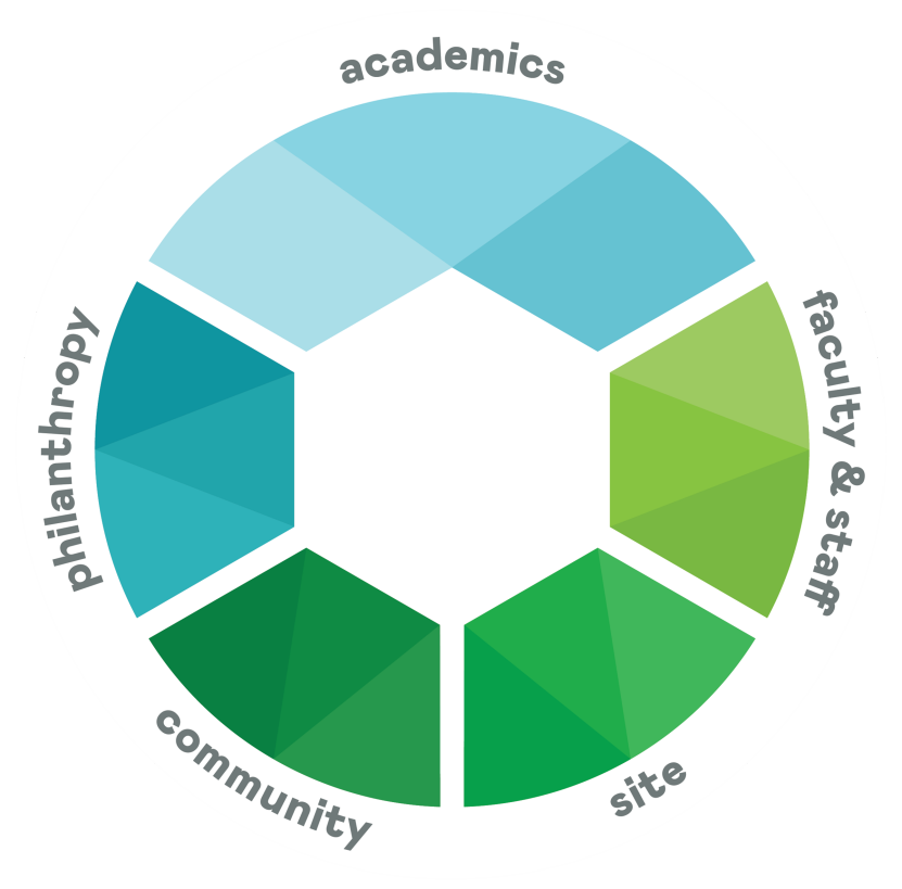 SVI Strategic Plan guiding pillars graphic